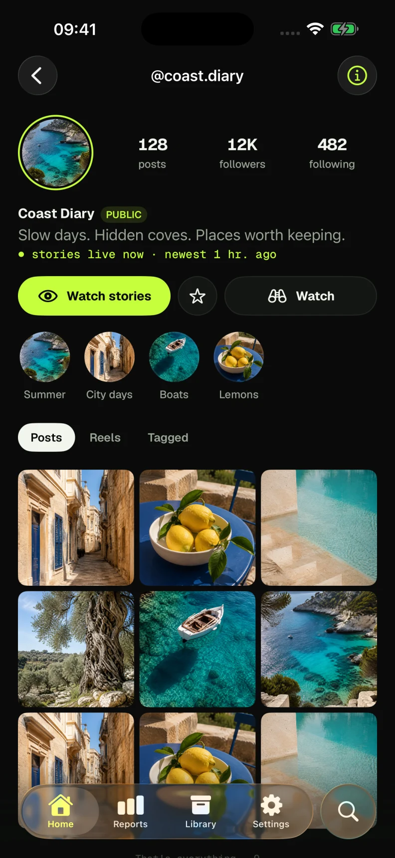 InViewer public profile with Stories, Posts and Reels sections and sample content