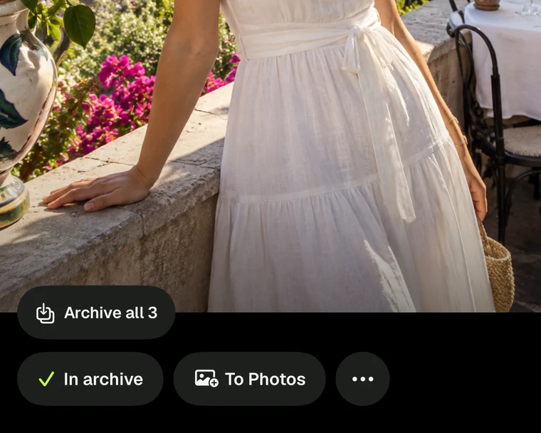 InViewer after saving: In archive and To Photos buttons below a sample photo
